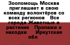 Зоопомощь.Москва приглашает в свою команду волонтёров со всех регионов - Все города Животные и растения » Пропажи и находки   . Иркутская обл.